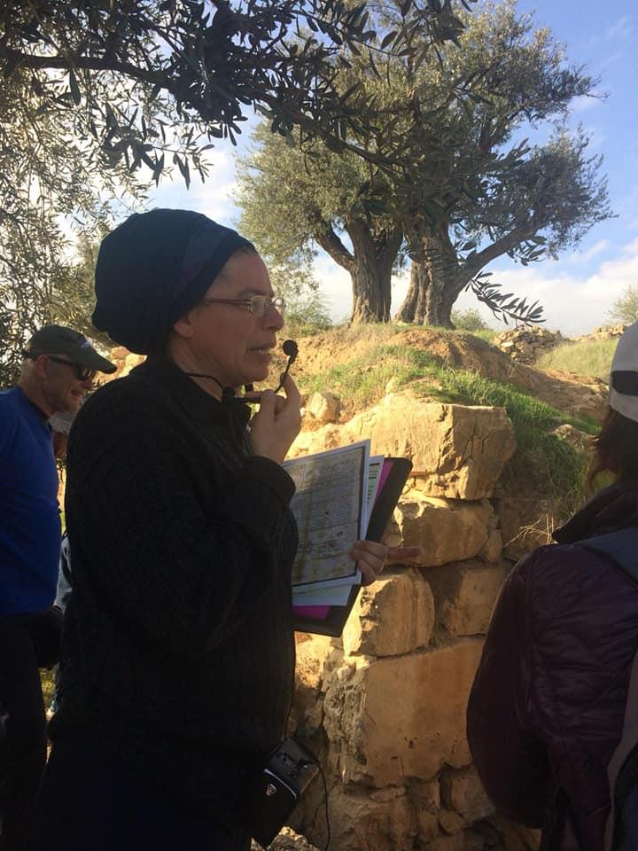 Tour of Historic Hebron Casbah