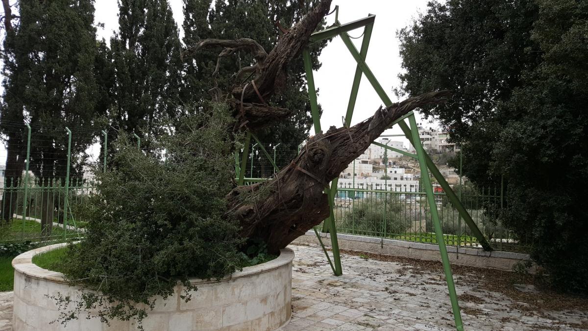 Muslim endowment may take over site of historic Hebron Russian church