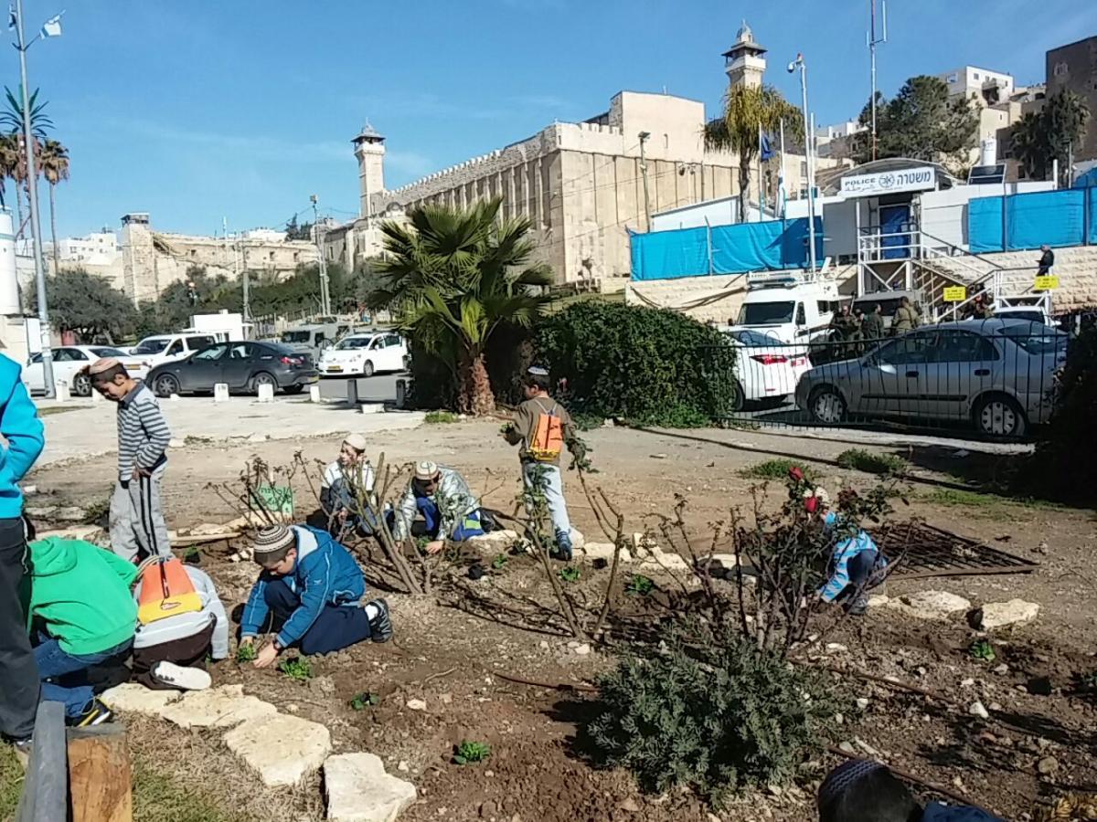 Tu Bishvat in Hebron